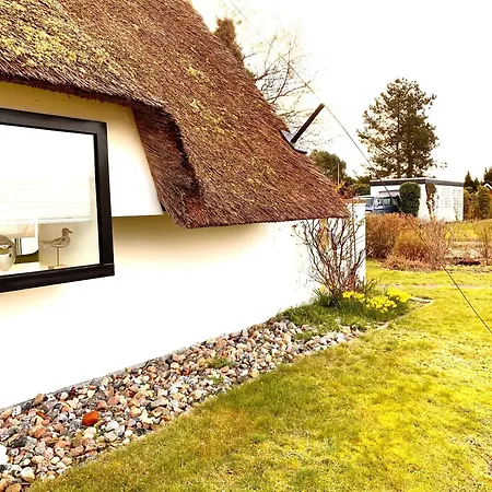 Reetloft Mit Grosser Terrasse In