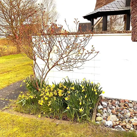 Reetloft Mit Grosser Terrasse In Ferienhaus Großenbrode